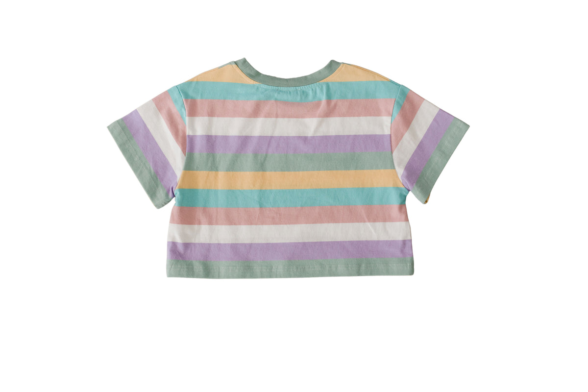 Rainbow Stripe Tee back with pastel horizontal stripes and short sleeves